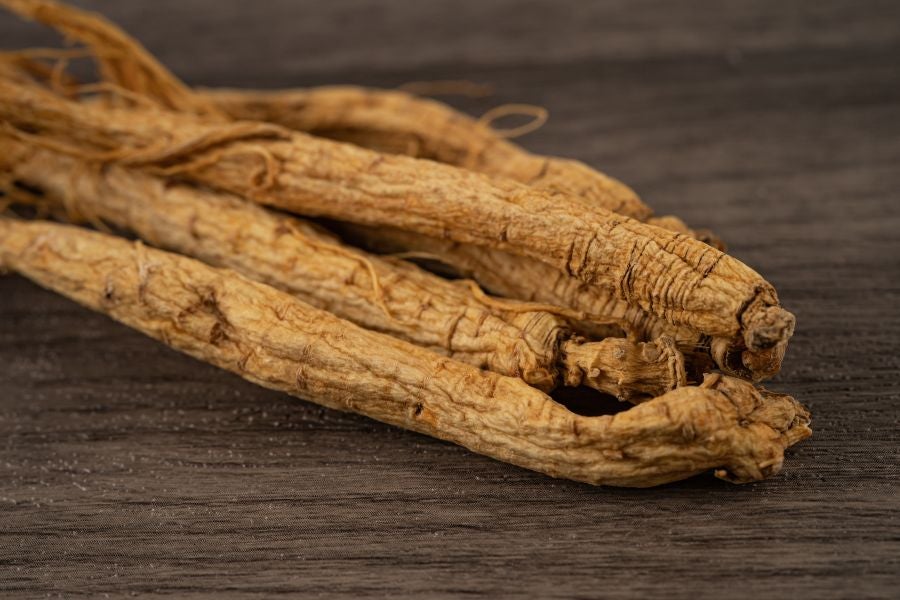 Raízes de ginseng